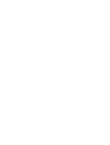 Trinnov Audio